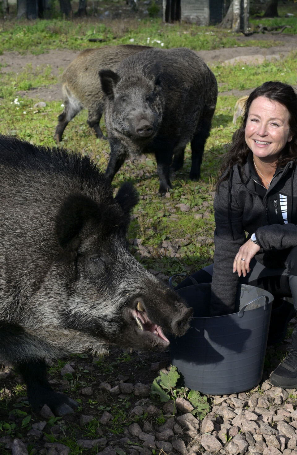 Från DDR till Eckerö – ett arv av stugor, safari och saknad