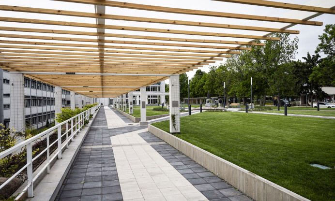En lag säger inte allt — Åland måste våga mer