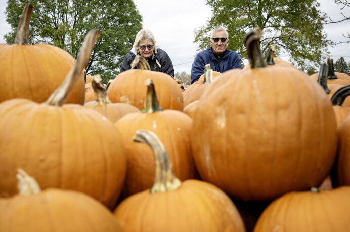 Än blomstrar pumpaförsäljningen i Björsby
