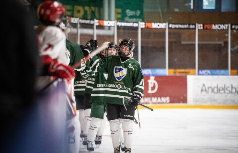 En av varje för hockeydamerna