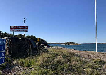 Brändö kommun köper skulpturer av konstnär