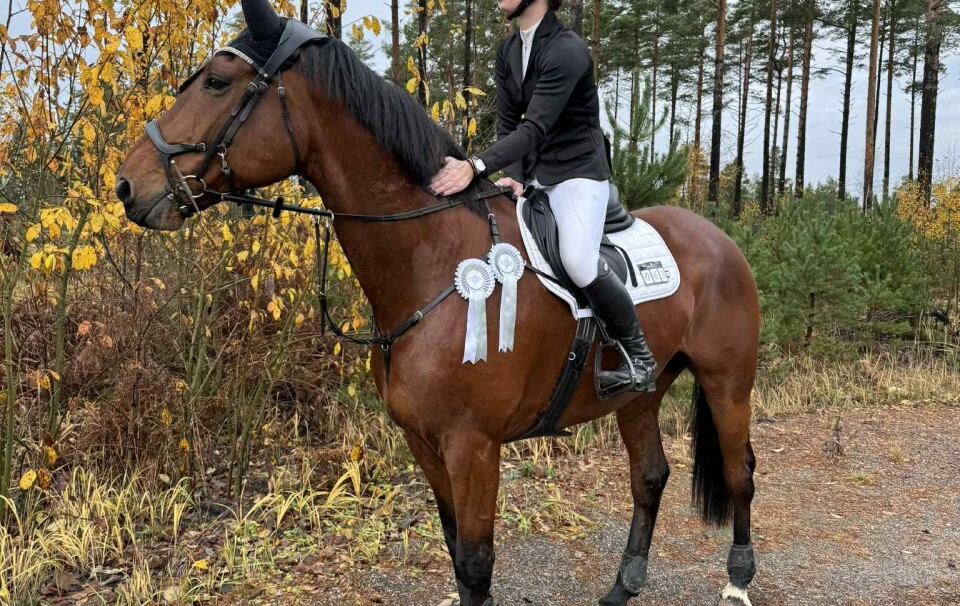 Fina prestationer i svensk hopptävling