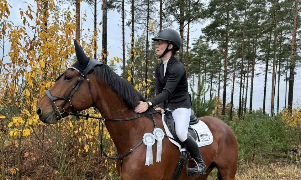 Fina prestationer i svensk hopptävling