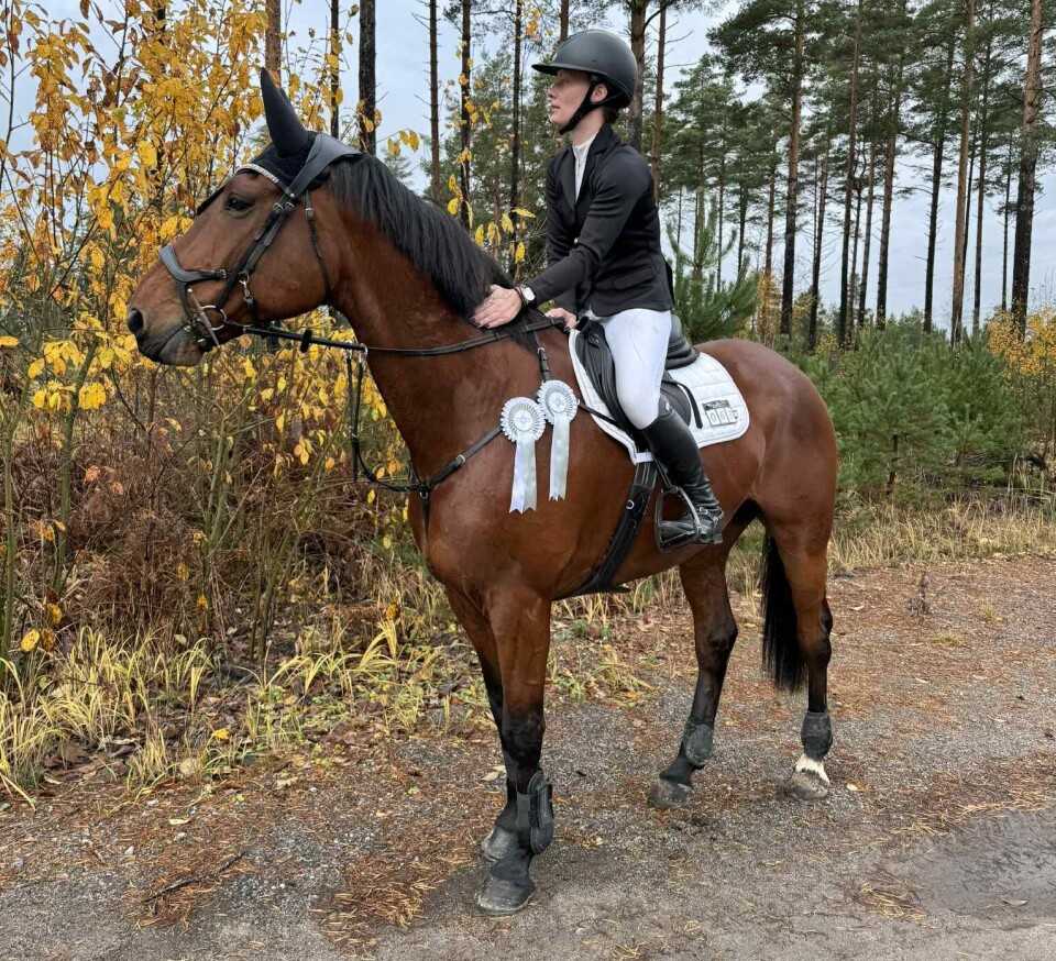Malin Mattsson red två felfria rundor med Martina Nordins nioåriga Tardy Snooze, vilket premierades med dubbla rosetter.