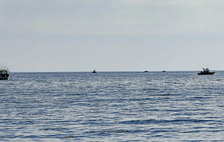 Fritidsfiske av lax tillåts från 1 maj