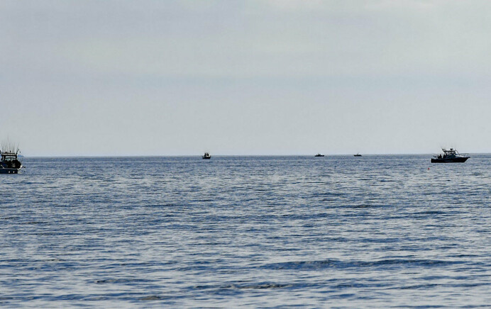 Fritidsfiske av lax tillåts från 1 maj