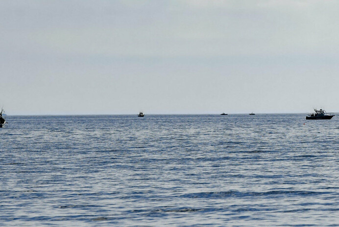 Fritidsfiske av lax tillåts från 1 maj