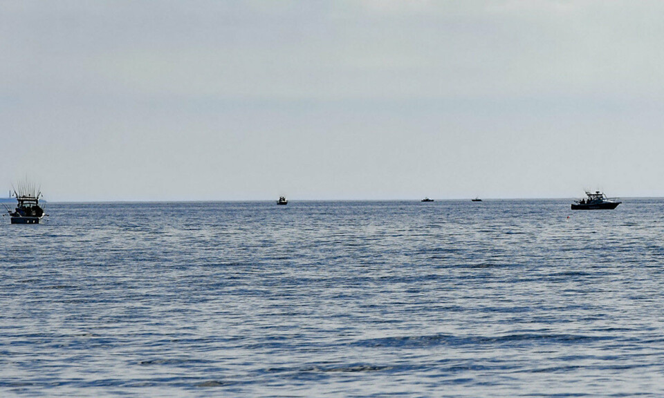 Fritidsfiske av lax tillåts från 1 maj