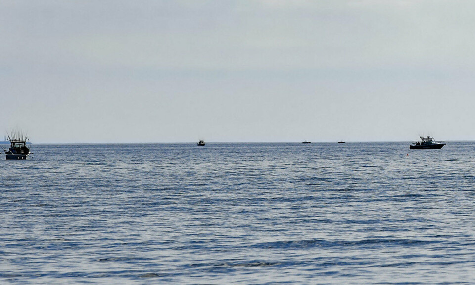 Fritidsfiske av lax tillåts från 1 maj
