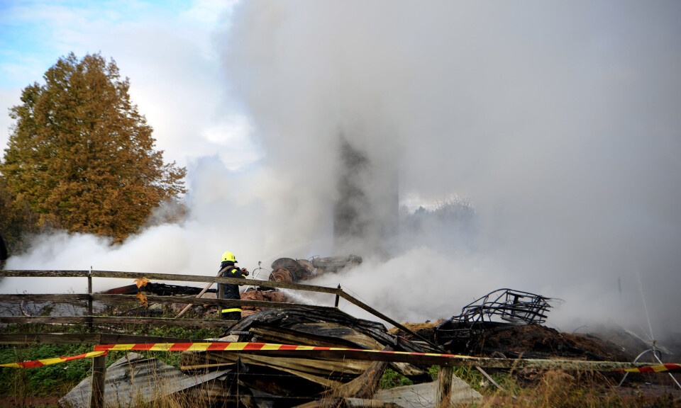 Byggnader i ruiner efter Föglöbrand: ”Lyckades rädda getterna”