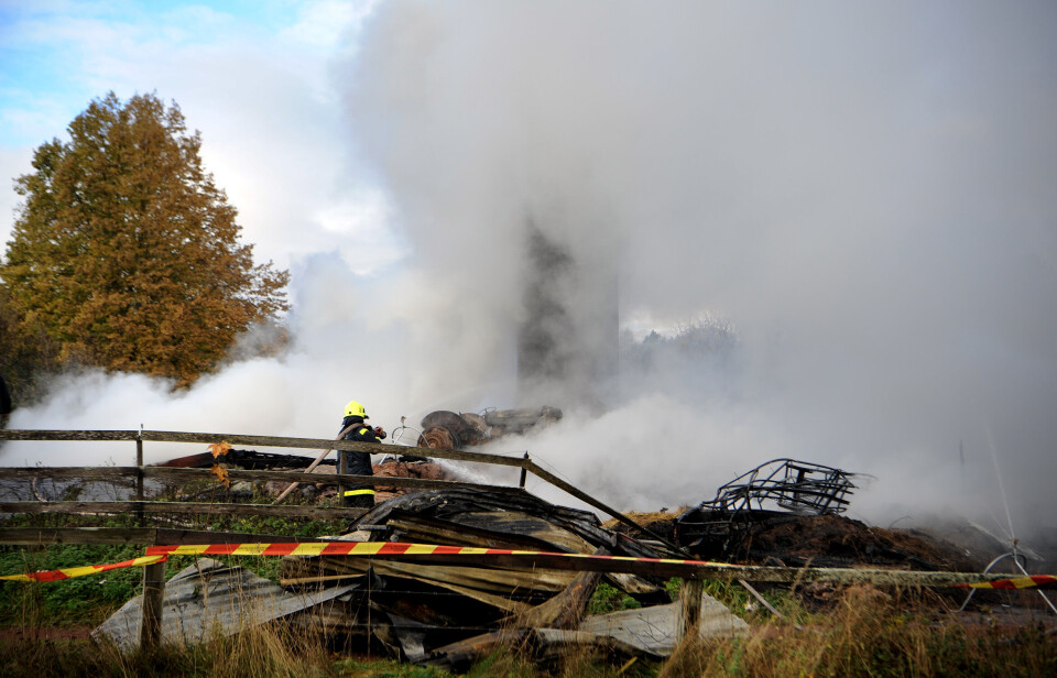 Byggnader i ruiner efter Föglöbrand: ”Lyckades rädda getterna”