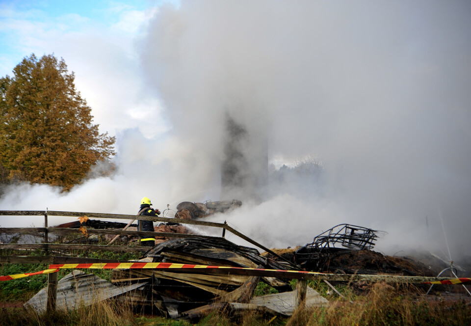 Byggnader i ruiner efter Föglöbrand: ”Lyckades rädda getterna”