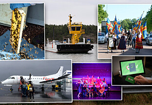 Barnbidrag, friska bin, studiestöd och andra intressanta siffror