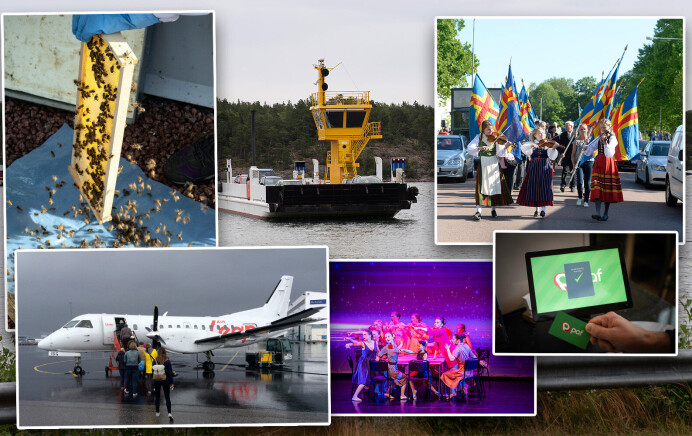 Barnbidrag, friska bin, studiestöd och andra intressanta siffror