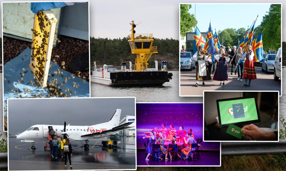 Barnbidrag, friska bin, studiestöd och andra intressanta siffror