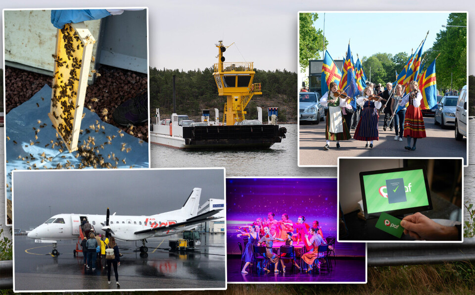 Barnbidrag, friska bin, studiestöd och andra intressanta siffror