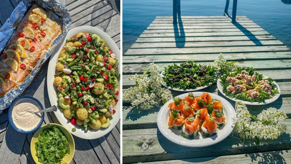 Plockmat på min favoritbrygga