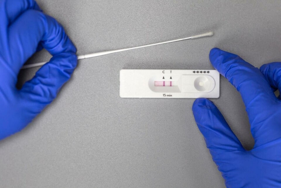Allt fler väntas insjukna i covid-19 under sommaren. Self test kit for Covid-19 at home showing positive on gray background, Coronavirus,Covid,Health,Home test, concept with copy space and surgical gloves close up