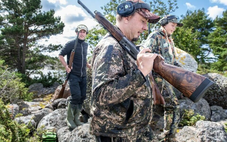 Tomas Randström, Hjalmar Hampf och Leona Hampf traskar mot stranden i jaktkläderna.Foto: Amir Karbalaei