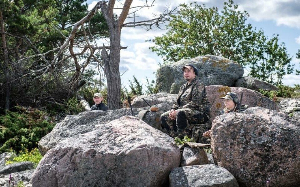 Trots dagens blåst blev det behagligt varmt för de tålmodiga jägarna som väntade bland stenarna.Foto: Amir Karbalaei