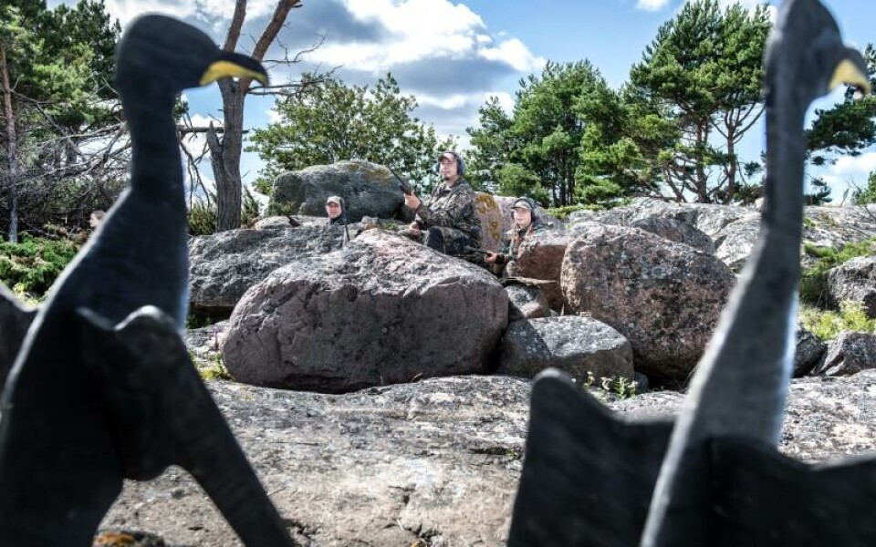 Bulvanerna ska föreställa skarvar som torkar sina vingar.Foto: Amir Karbalaei