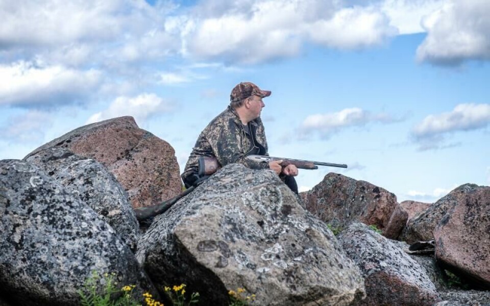 Fågeljakt kräver visst tålamod. Men att sitta på en holme i skärgården är en naturupplevelse i sig.Foto: Amir Karbalaei