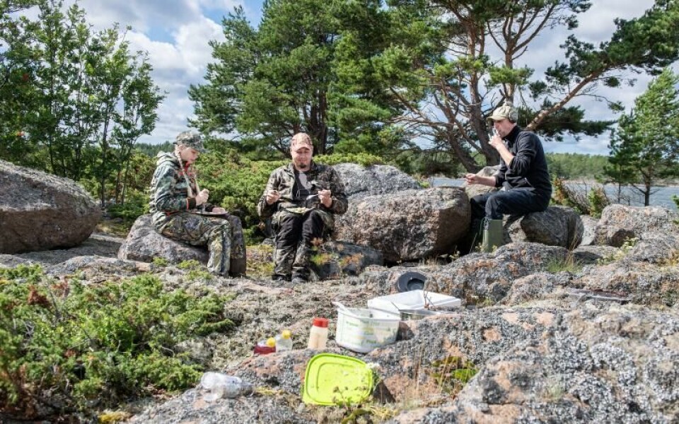 Leona Hampf, Hjalmar Hampf och Tomas Randström tar en lunchpaus i solskenet.Foto: Amir Karbalaei
