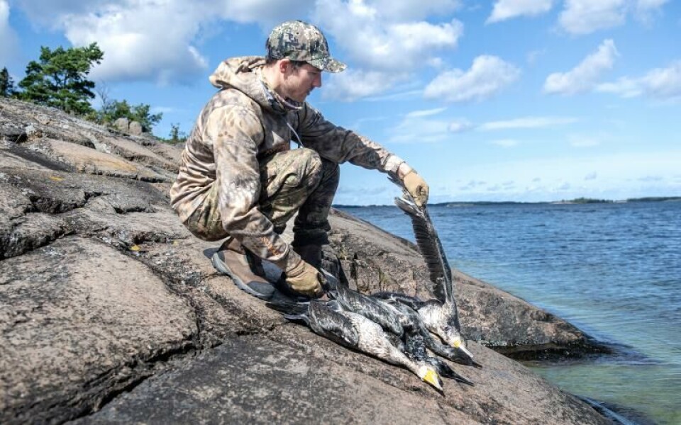 André Geelnard hade bättre jaktlycka tillsammans med Mikael Hassel. De lyckades skjuta flera skarvar.Foto: Amir Karbalaei