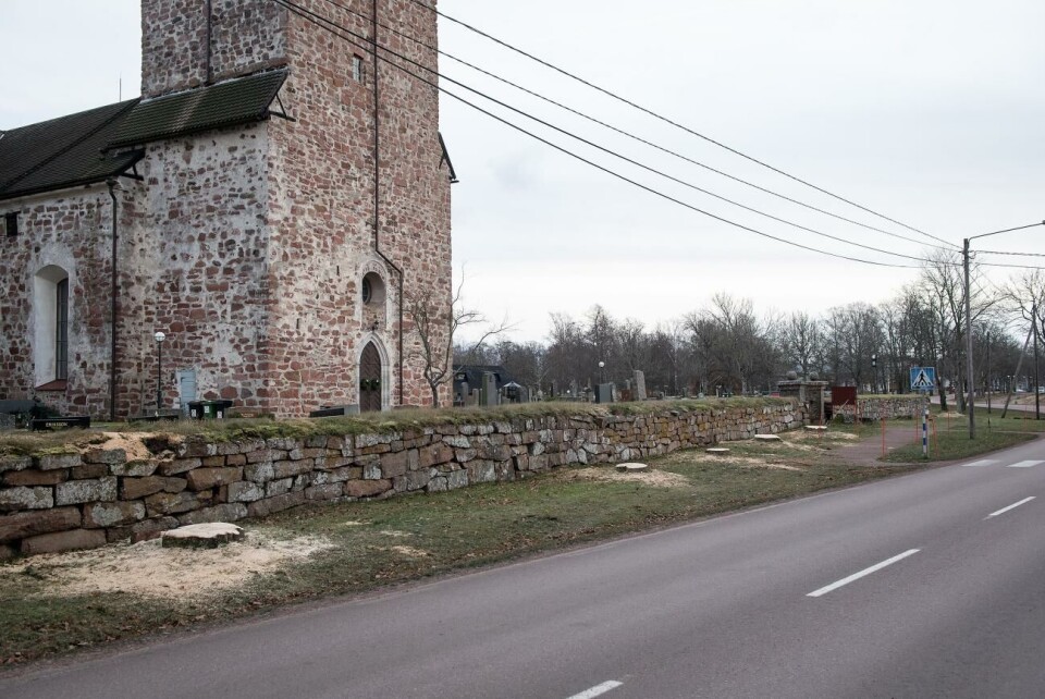 Trädsorten som ersätter populära askarna vid kyrkomuren i Jomala 2021 höggs 15 askar ner utanför Jomala kyrka. De ska så småningom ersättas med 18 skogslindar.