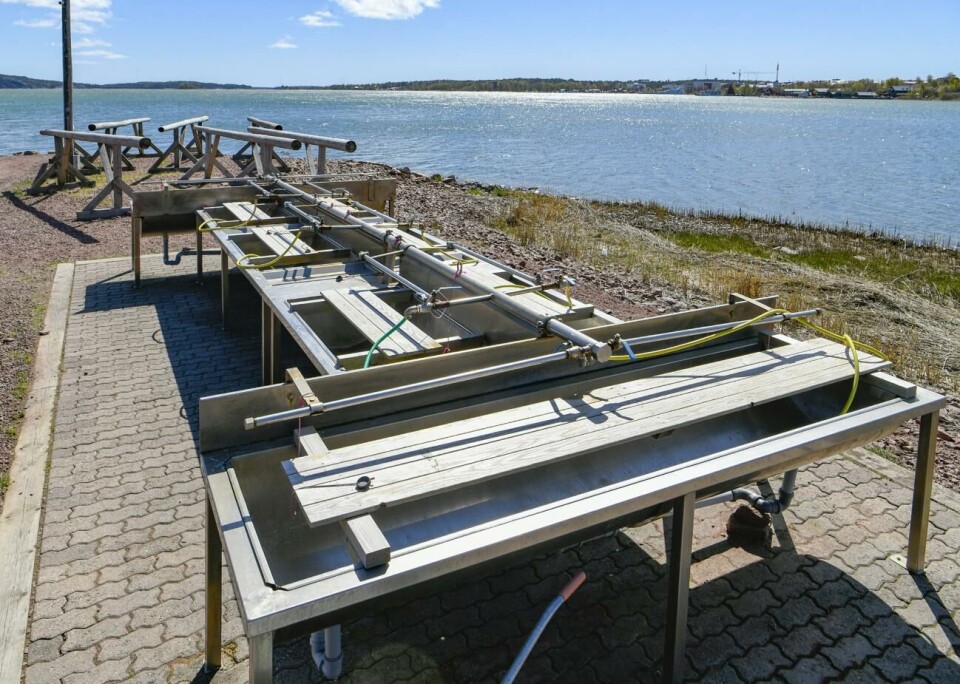 Mattvätten vid Nabben är en av stadens två mattvättar. Dess placering har varit omtvistad i många år.