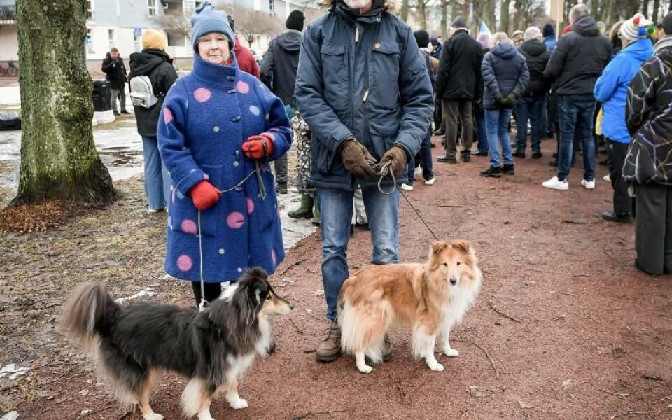Foto: Hülya Tokur-Ehres