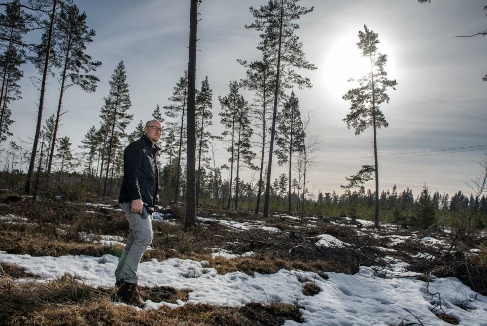 Ska parken byggas måste alla träd avverkas. Det påverkar i sin tur avrinningen till vattentäkterna. Den som arrenderar marken måste alltså kunna visa att parken inte ökar näringstillförseln till vattentäkterna, säger Stefan Rumander.