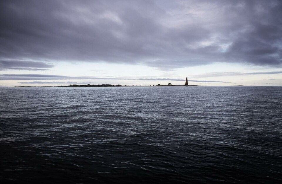 Enheten för jakt och vildvård måste avbryta skyddsjakten på havsörn vid Lågskär.