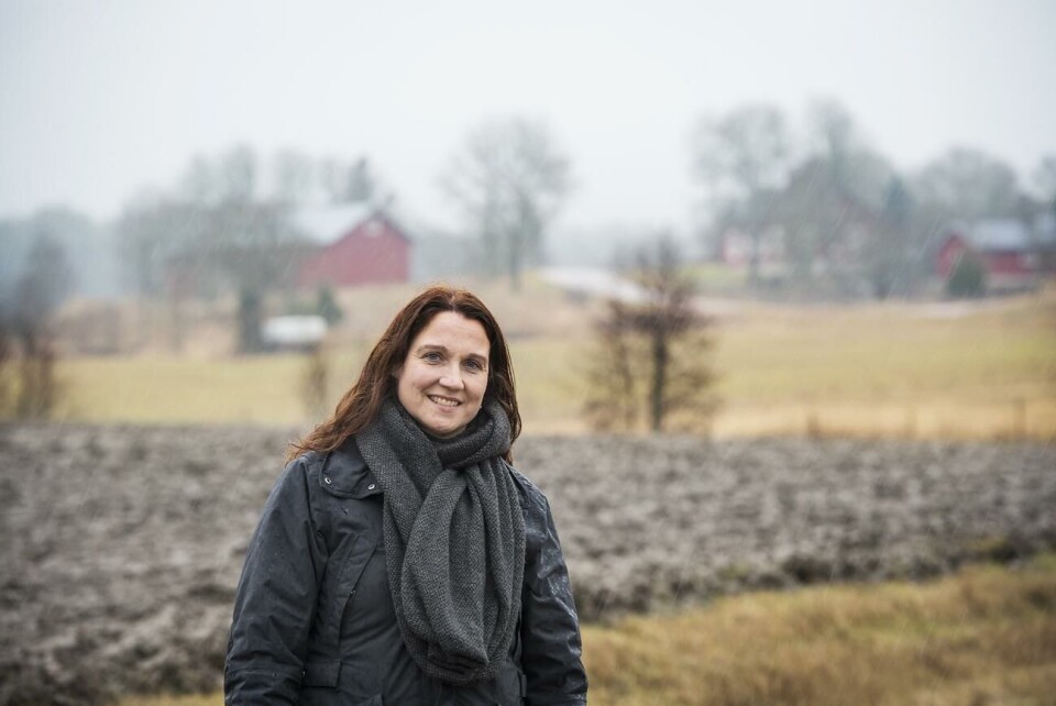 Sue Holmström, vd på Ålands producentförbund, säger att marknadsföring behövs för att öka efterfrågan på ekologiska produkter.