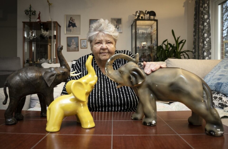 Karin Sarhane har samlat på elefanter i många år. Karin Sarhane, 80 år