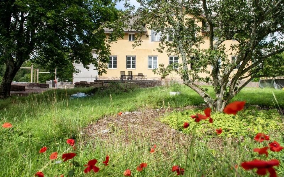 Foto: Hülya Tokur-Ehres
