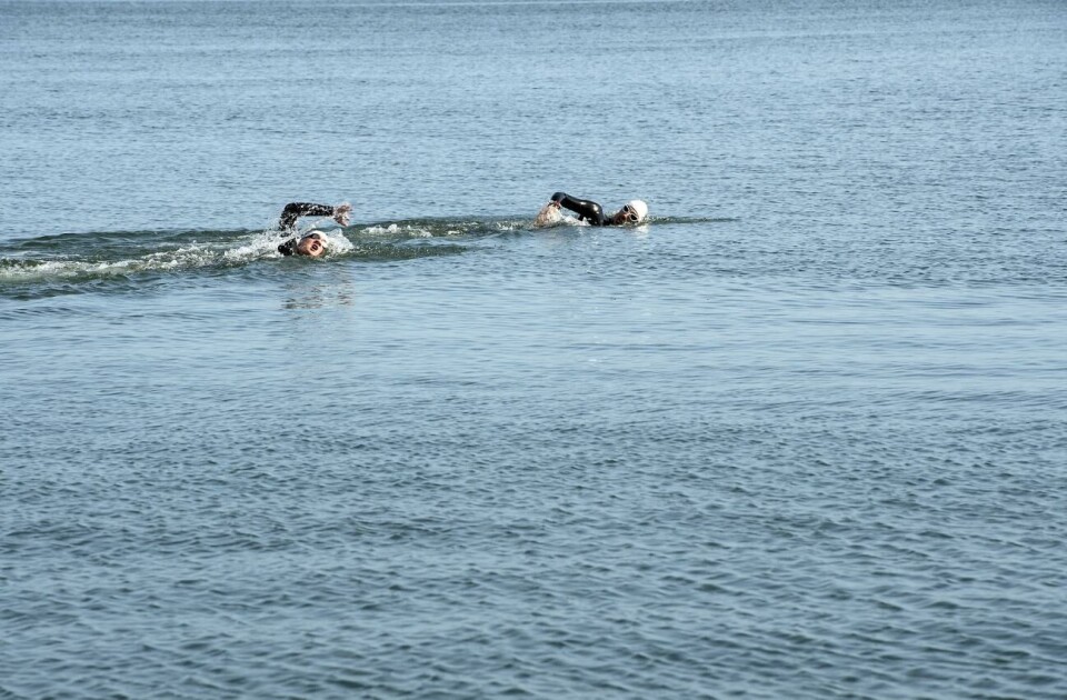 Dags för första upplagan av Färjsundet Backwater Ultra Swim. Simning