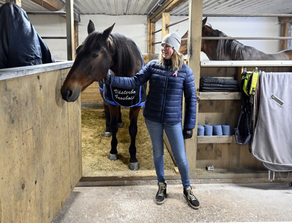 Västerbo Grosbois fortsätter att landa placeringar. I lördags blev Malin Frimans häst femma i storloppet Bergsåker Winter Trot.