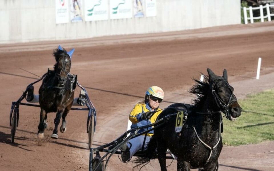Foto: DANIEL ERIKSSON