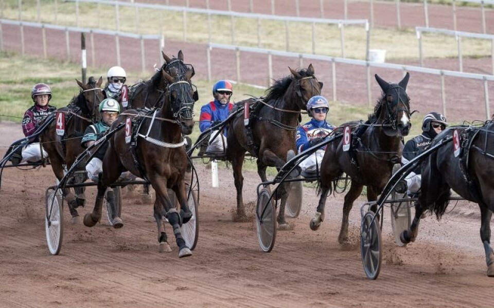 Foto: DANIEL ERIKSSON