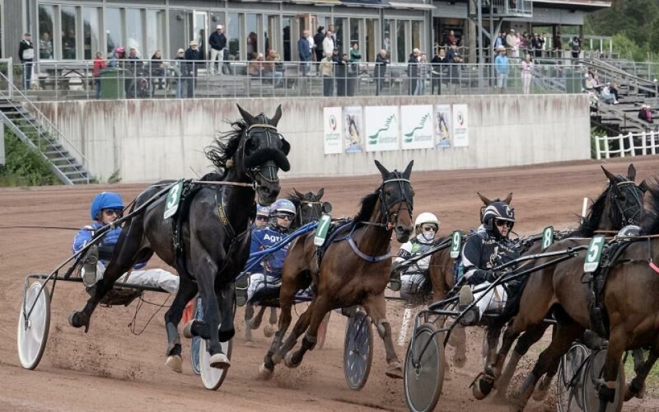Foto: DANIEL ERIKSSON
