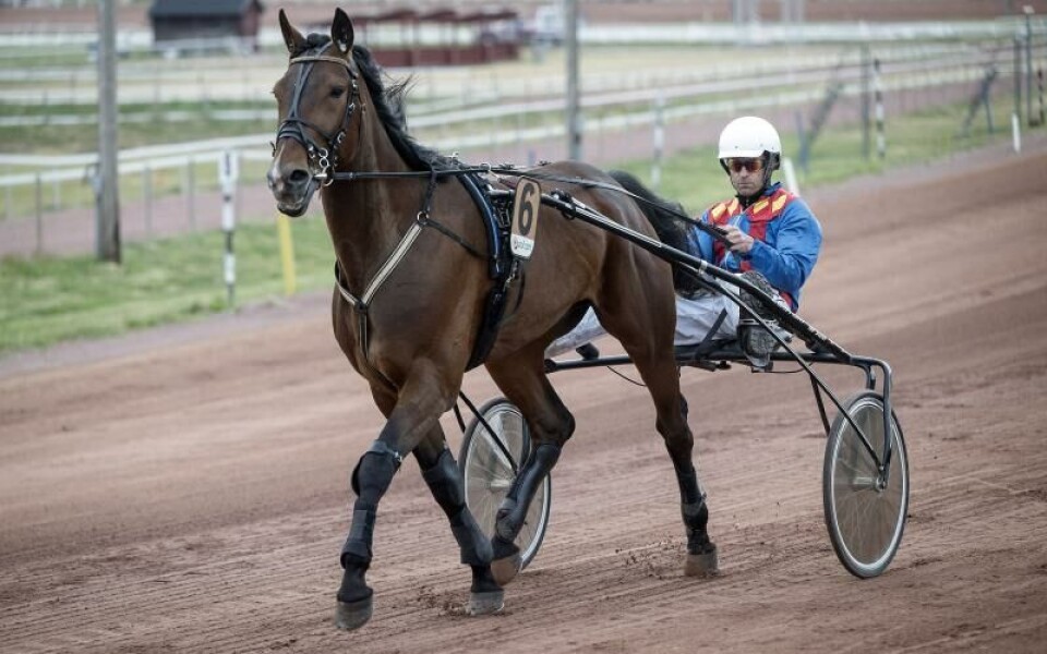 Foto: DANIEL ERIKSSON