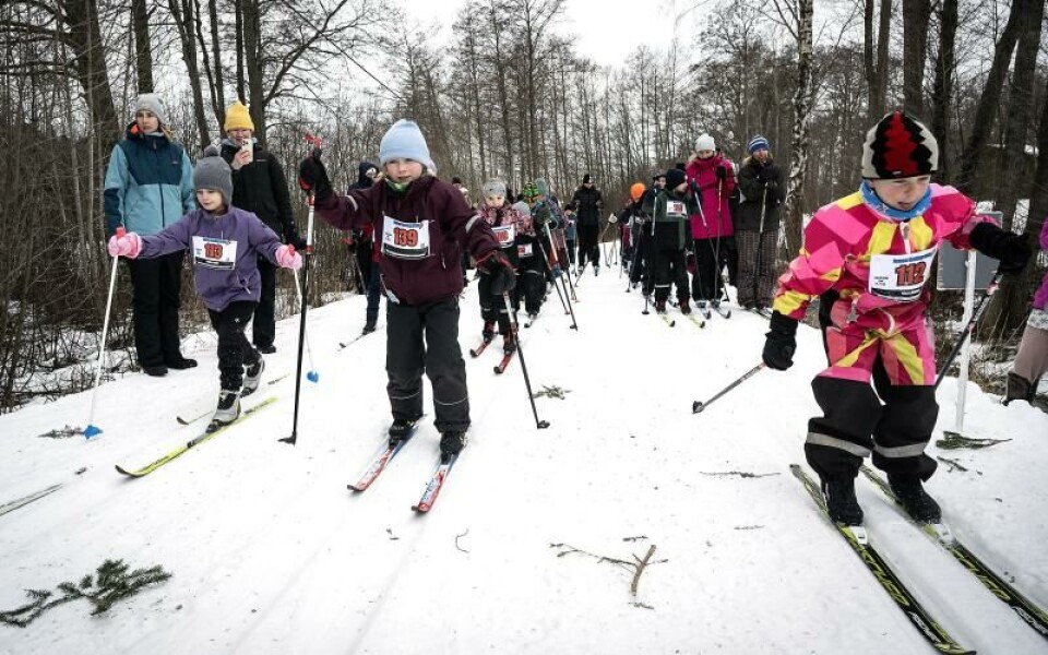 Foto: DANIEL ERIKSSON