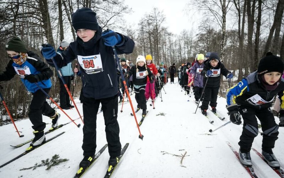 Foto: DANIEL ERIKSSON