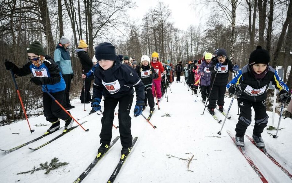 Foto: DANIEL ERIKSSON