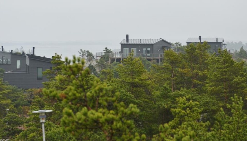 Havsvidden kan vinna fint pris.