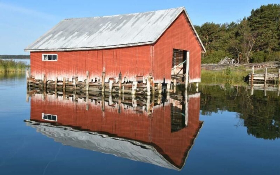 Foto: Lars Hagström