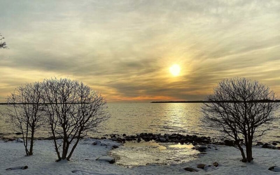 Foto: Yvonne Lindeman