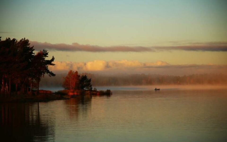 Foto: Yvonne Lindeman