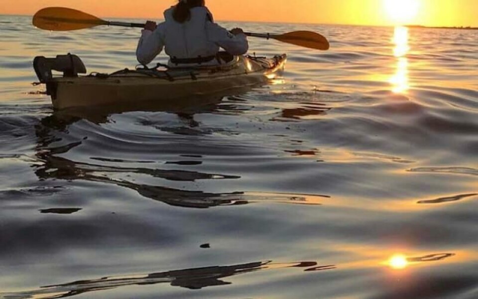 Foto: Sussi Sjövall